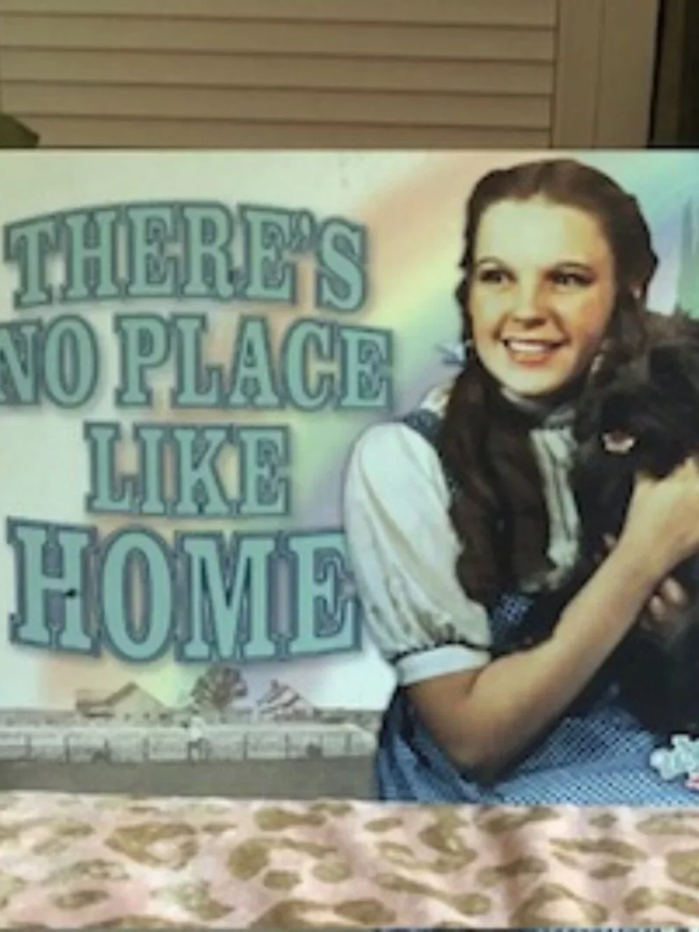 WIZARD OF OZ TIN SIGN